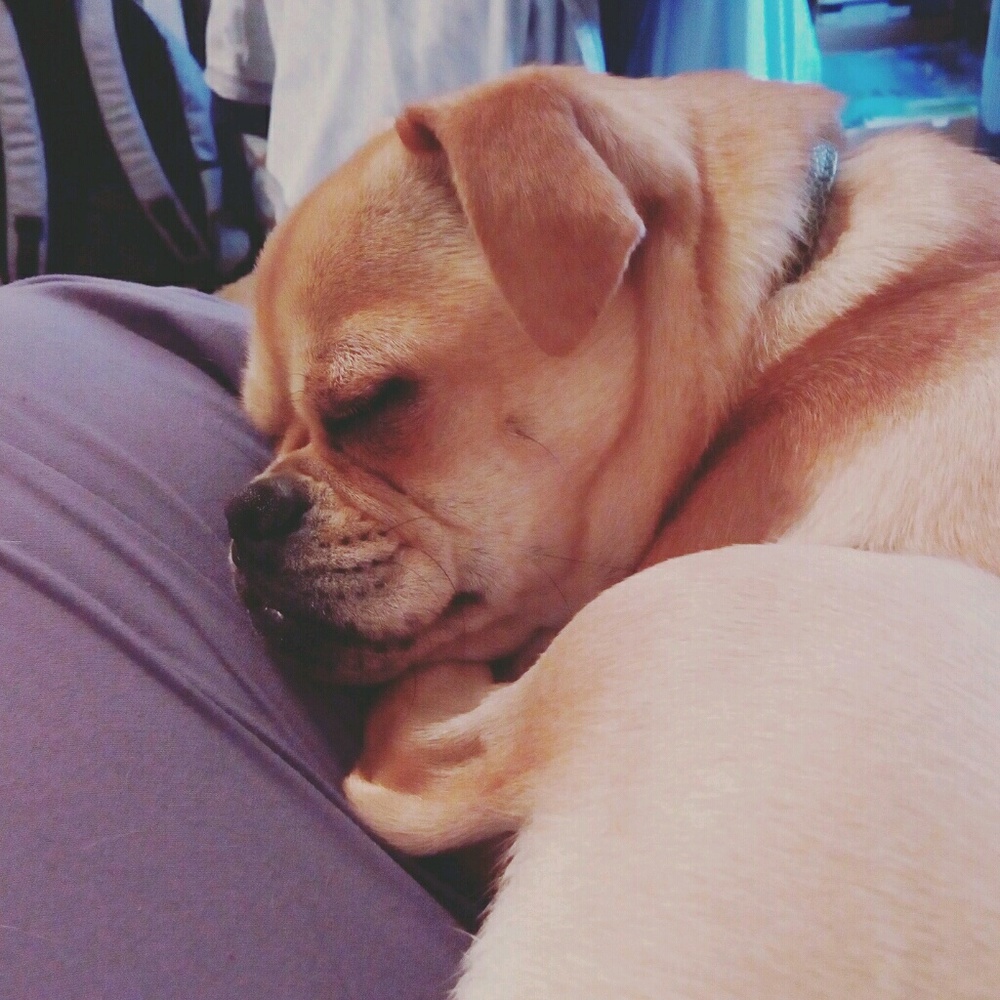 Meet your Posher, Mckenzie